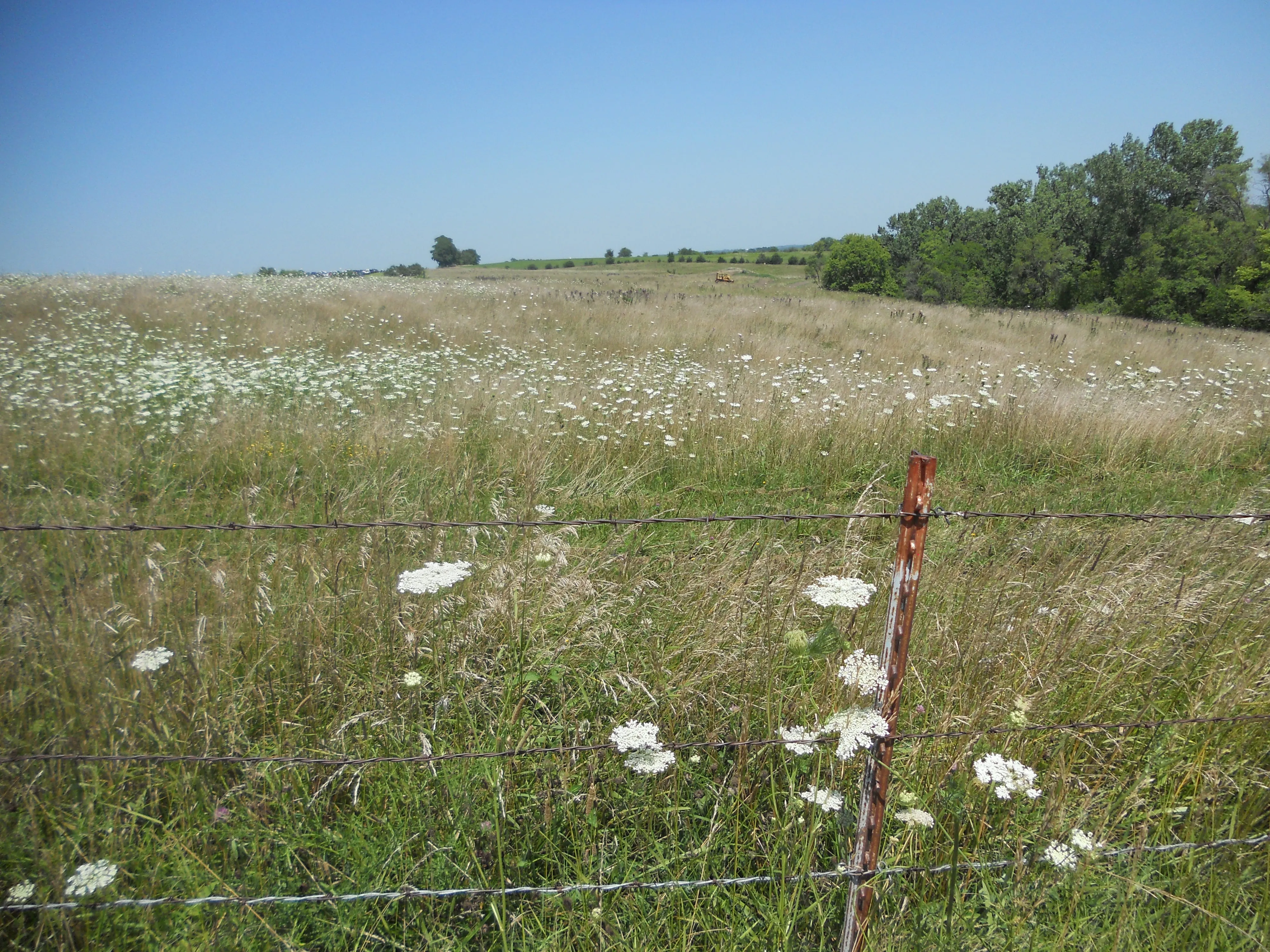 a nice field